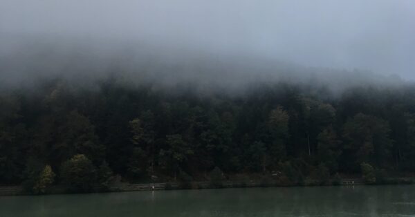 Samhain im Nebel: tief hängende Wolken über dem dunklen Waldhang an der Donau an einem grauen Herbstmorgen