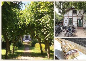 Schweizer-Haus-tating-bei-st-peter-ording