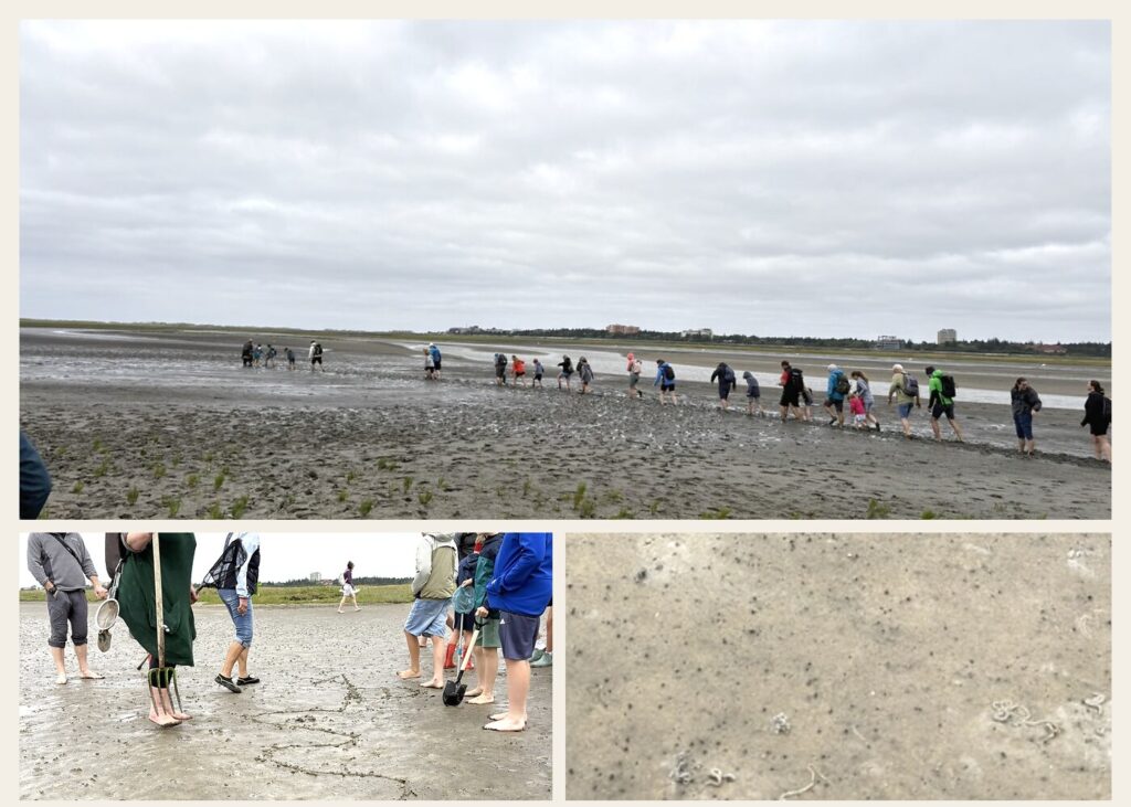 Wattwanderung in St. Peter-Ording an der Nordsee